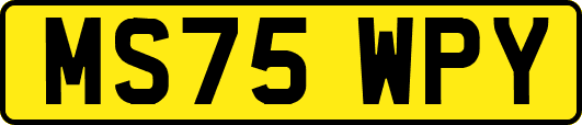 MS75WPY