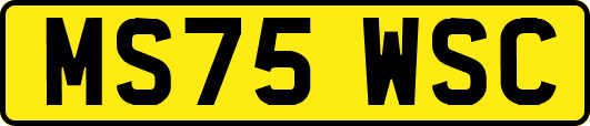 MS75WSC