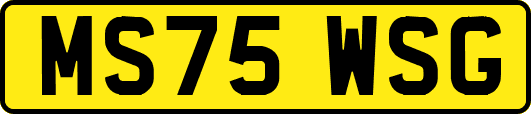 MS75WSG