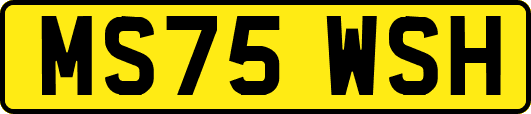 MS75WSH