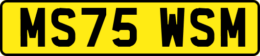 MS75WSM