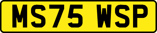 MS75WSP