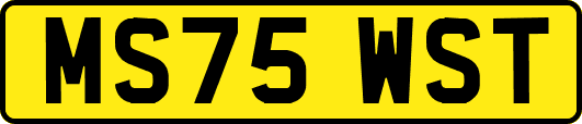 MS75WST