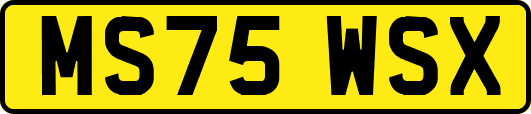 MS75WSX