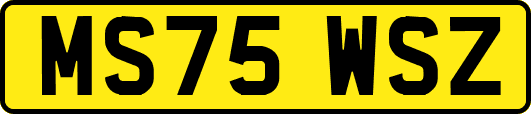 MS75WSZ