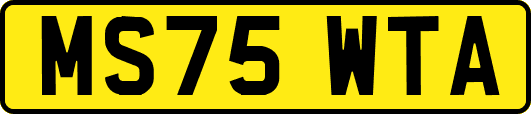 MS75WTA