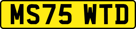 MS75WTD