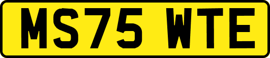 MS75WTE