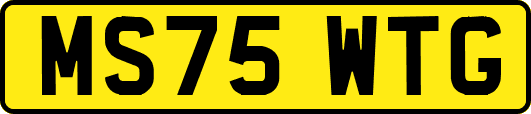 MS75WTG