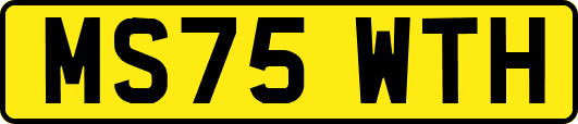 MS75WTH