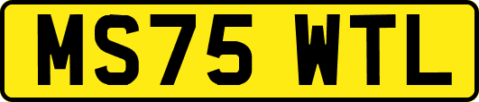 MS75WTL