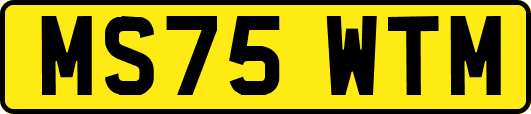 MS75WTM