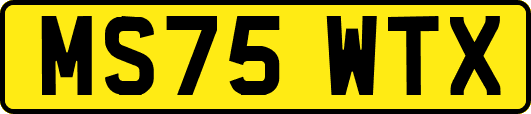MS75WTX