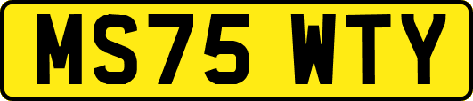 MS75WTY