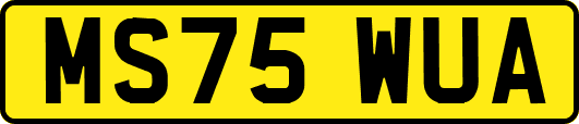 MS75WUA