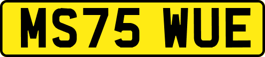 MS75WUE