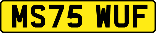 MS75WUF