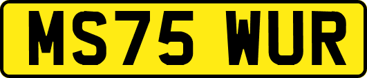 MS75WUR