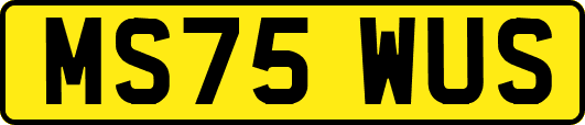 MS75WUS