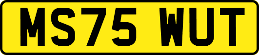 MS75WUT