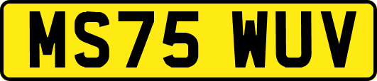 MS75WUV