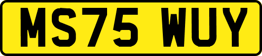 MS75WUY