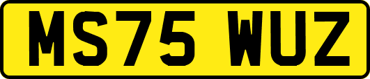 MS75WUZ