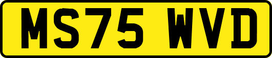 MS75WVD