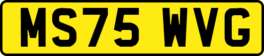 MS75WVG