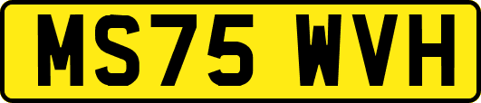 MS75WVH
