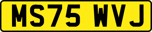 MS75WVJ