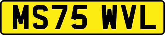 MS75WVL
