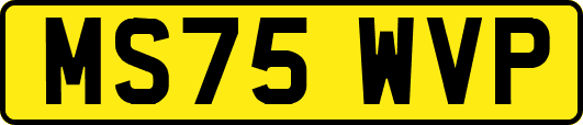 MS75WVP