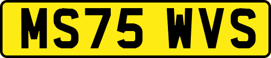 MS75WVS