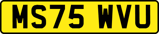MS75WVU