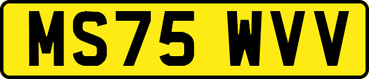 MS75WVV