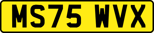 MS75WVX