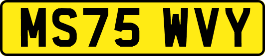 MS75WVY