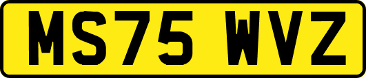 MS75WVZ