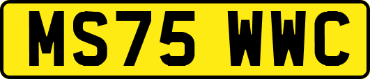 MS75WWC