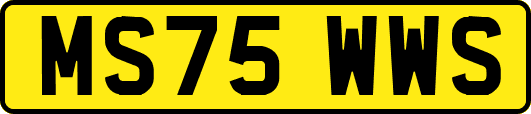 MS75WWS
