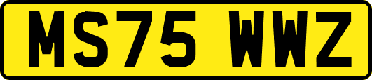 MS75WWZ