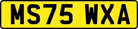 MS75WXA