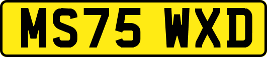 MS75WXD