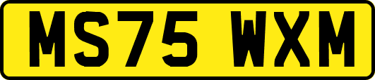 MS75WXM