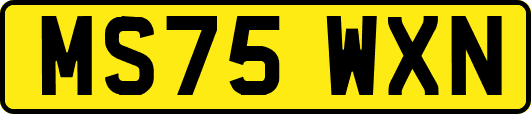 MS75WXN