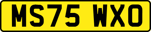 MS75WXO