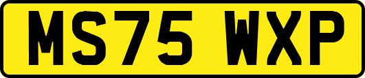 MS75WXP
