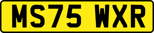 MS75WXR