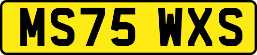 MS75WXS